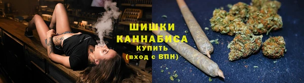 дживик Няндома