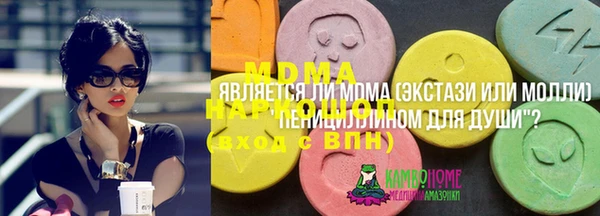 дживик Няндома