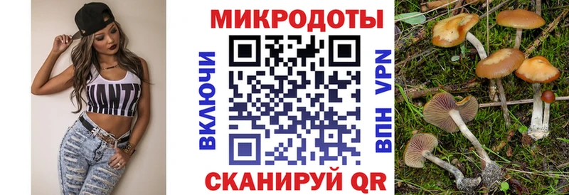Псилоцибиновые грибы Cubensis  Белинский 